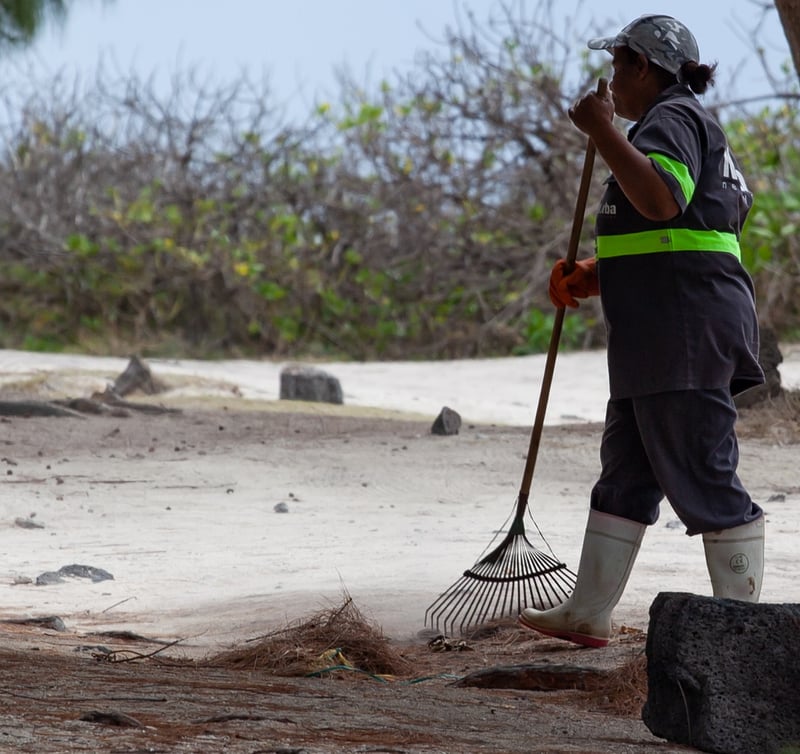 Meditative Sand Raking